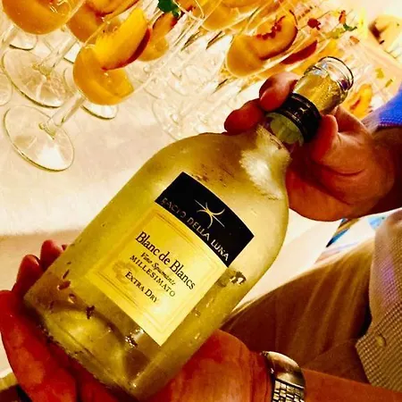 中央酒店 3* 库马约尔