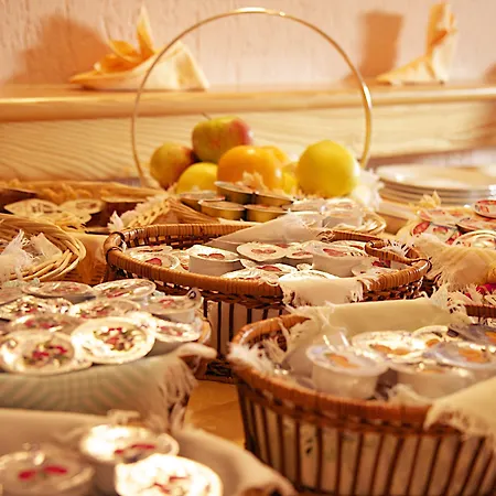 酒店 中央酒店 3*